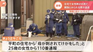 Mother slashed to death by son-in-law in Kasama City, Ibaraki (JNN)