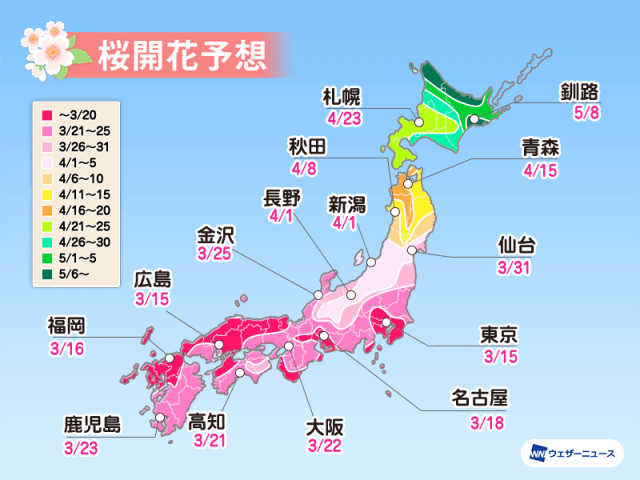 cherry blossoms peak 2022 (wni)