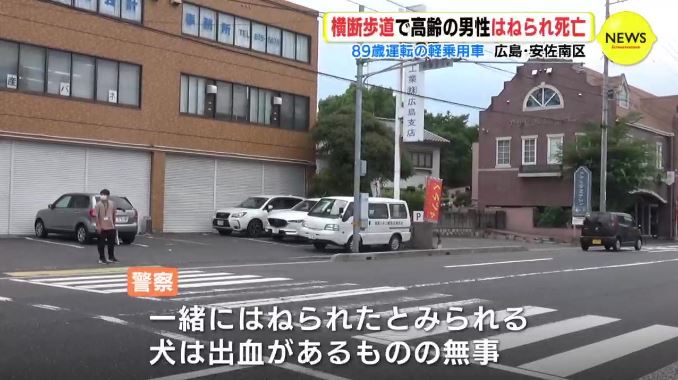 Elderly man dies after being hit by a car driven by an 89-year-old while walking his dog in a crosswalk in Hiroshima (TBS News)